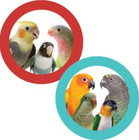 Corn Husk Toss Bird Foot Toy Small To Medium Sized Bird Toy Chewable Parrot Toy