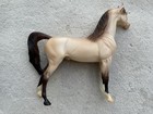 Gorgeous Peter Stone Horse    daydreamer    Champagne Arabian Stallion Sr