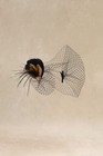 Babeyond Women s Veil Fascinator Hat Feather Fascinators Hair Clip Removable