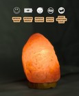 Premium Natural Himalayan Salt Lamp   100  Natural Rock Salt