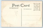 C1910 s Mother And Baby Dog Baby s Best Friend Flowers Antique Unposted Postcard