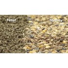 Kaytee Fiesta Guinea Pig Food  25 Lb