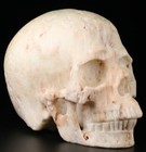 Huge 5 0  Blue Aragonite Carved Crystal Skull  Super Realistic  Crystal Healing