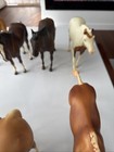 Lot Of 11 Breyer Horses
