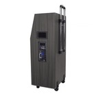 Professional Karaoke System 1000w Powered 12  Bluetooth Speakers   Mics