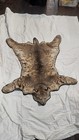 Taxidermy  Xxlarge Western Bobcat Or Lynx Cat  Fur hide skin pelt rug  All Feet