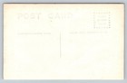 Vintage Velox Rppc Real Photo Postcard Brown Horse Equestrian Farm Animal