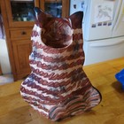 Cats Nina Lyman Vase 2001 Brown Orange White Fluffy 12 x10  Long Haired Striped