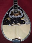 Greek Bouzouki   Softcase   Pickup   Tuner 300 Backing Track With Pdf Scores