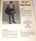 Vintage 1968  mr Ray And His Magic Brush  Hair Styling Book  Hairstylist Secrets