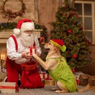 3x Large Dog Grinch Green Monster Costume With Christmas Hat dog Christmas Hallo