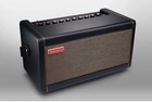 Positive Grid Spark Practice Guitar Combo Amplifier  40w  Black