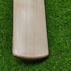 Vintage Pr Premier Daffodils Gold English Willow Short Handle Cricket Bat Sh