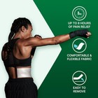 Biofreeze Pain Relief Patch  Large  5 Patches