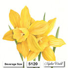  5120  Two Paper Beverage   Cocktail Decoupage Art Craft Napkins - Daffodils