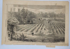 Andersonville Prison National Cemetery 1865  Vtg Print  Clara Barton Raises Flag