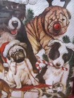 New Rustic Christmas Dog   Puppy Red Rudolph Nose Luncheon Paper Napkins - 40ct 