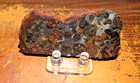 69 Gm Sericho Pallasite Meteorite Slice From Kenya Stand Olivine Jal