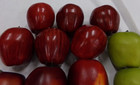 15 Piece Lot Mixed Faux Fruit Artificial Fake For Table Display Apples   Pears