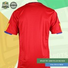 2010 World Cup Winner Spain Team Signed Jersey With Xavi iniesta pique And More