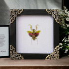 Real Jeweled Flower Mantis Framed Perfect Gift For Mom Insect Taxidermy Decor