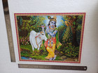 Lord Krishna With Divine Cow - Normal Poster 8 5x11