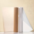 Chinese Calligraphy   Painting Raw Ricetransparent Copy Paper Xuan Roll   b 