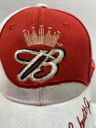 Dale Earnhardt Jr  8 Nascar Adjustable Strapback Hat Cap Budweiser Free Shipping
