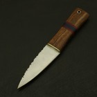 8 celtic Scottish - Genuine High Carbon Steel Sgian Skean Dubh Dirk Dagger Knife
