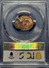 1995 Error Pcgs Ms62rd Double Struck Lincoln Cent Nice Ch Bu Coin Dbl Strike