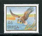 Serbia Scott  399 Mnh White-tailed Eagle Birds Fauna    458044
