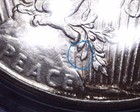 1926-s Peace Silver Dollar  Icg Ms 61  Vam 4 Top 50  And Issue Free
