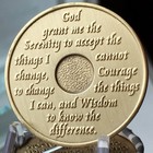 Alcoholics Anonymous 90 Day Recovery Coin Chip Medallion Medal Token Aa Days