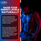 Prime Labs Testosterone Booster Men s Test Natural Stamina Endurance 90 Capsules