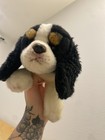 Suki Gifts Cavalier King Charles Spaniel Plush Item 12062 12  Realistic