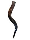 Yemenite Shofar Kudu Horn 27   -31    70-80cm  Kosher Made Free Shipping Usa