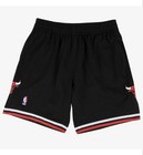 Mitchell   Ness Chicago Bulls Shorts Men