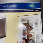 Professional Petsafe Extreme Weather Pet Door  White Large Dog 10 1 8 X 16 1 4