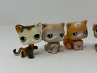 Littlest Pet Shop Vintage Lot Of 6 Dogs   Cats Lps 2004-2007 1st Gen