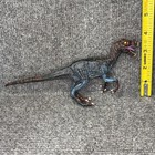 Resaurus Velociraptor Museum Line Collectible Dinosaur Figure  4 Inch Tall