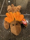 Rare Retired Ty Beanie Babies    chocolate The Moose    Original 1993 Pvc W Tag Nwt