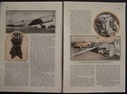 1936 Thompson Trophy Air Race Earl Ortman 1937 Original Pictorial