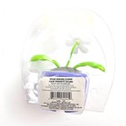 Solar Dancing Daisy Flower Sun Light Powered Bobble Head Toy New Blue