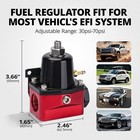 Kit Regulador Presi  n Combustible Efi 30 A 70 Psi 6an Ajustable Color Rojo Nuevo