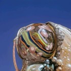 Vtg Handmade Stained Glass Kaleidoscope W  One Attached Multicolor Glass Ball