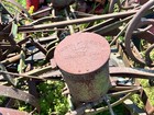 Rare Antique John Deere Planter   Seeder Model P609