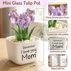 Birthday Gifts For Mom From Daughter Son - Christmas Flower Small  Purple