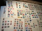 Commonwealth Stamps  Mint And Used Qv On 118 Leaves  33x 