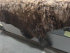 American Bison Buffalo Hide Robe Skin Tanned 71  Wide  87  Long