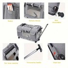 Rolling Pet Carrier With Wheels Cat Dog Travel Bag Telescopic Handle